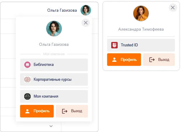 Пример оформления мини-виджетов в Trusted.ID
