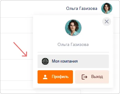 Выбор организации в мини-виджете Trusted.ID